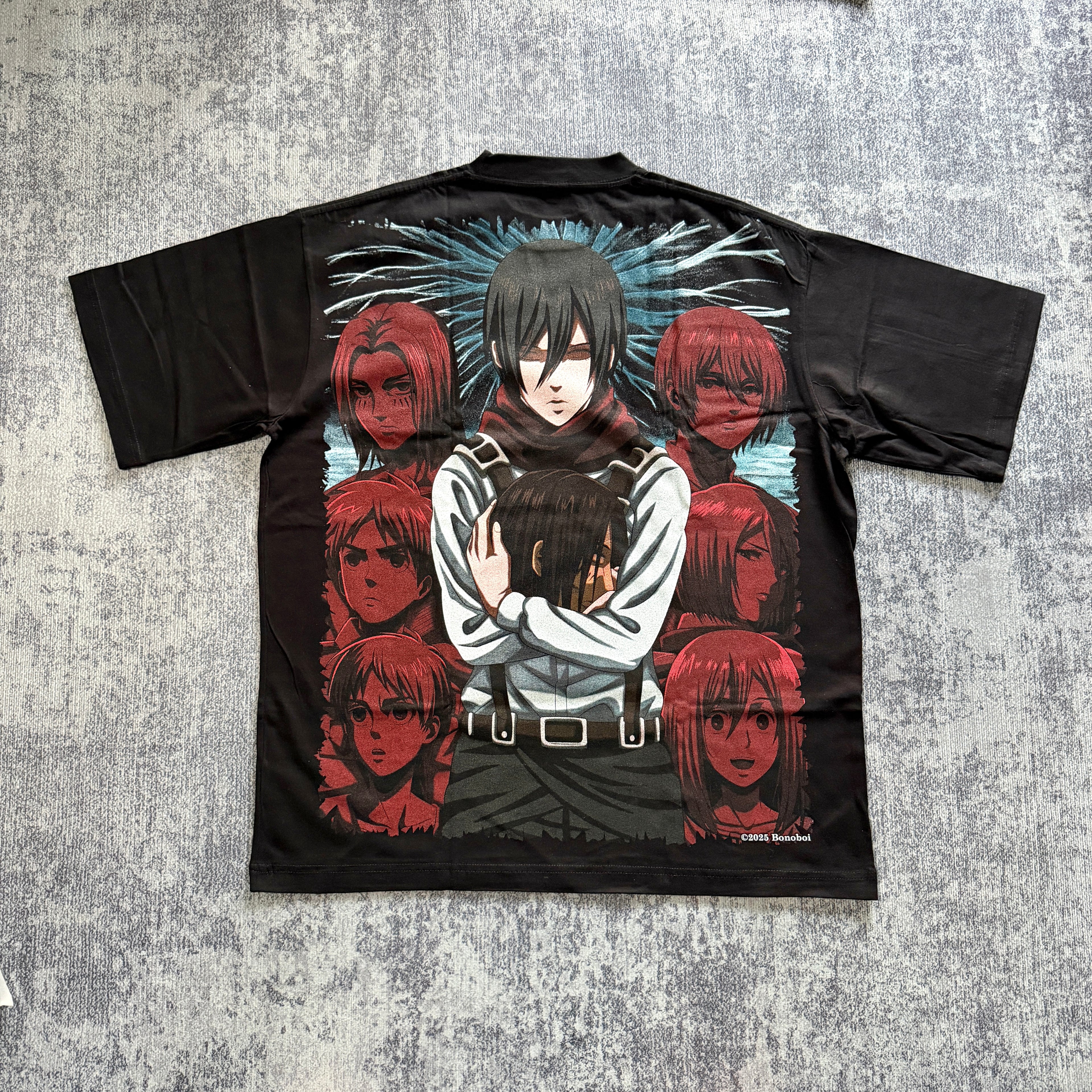 Attack on Titan - Mikasa vs Eren back