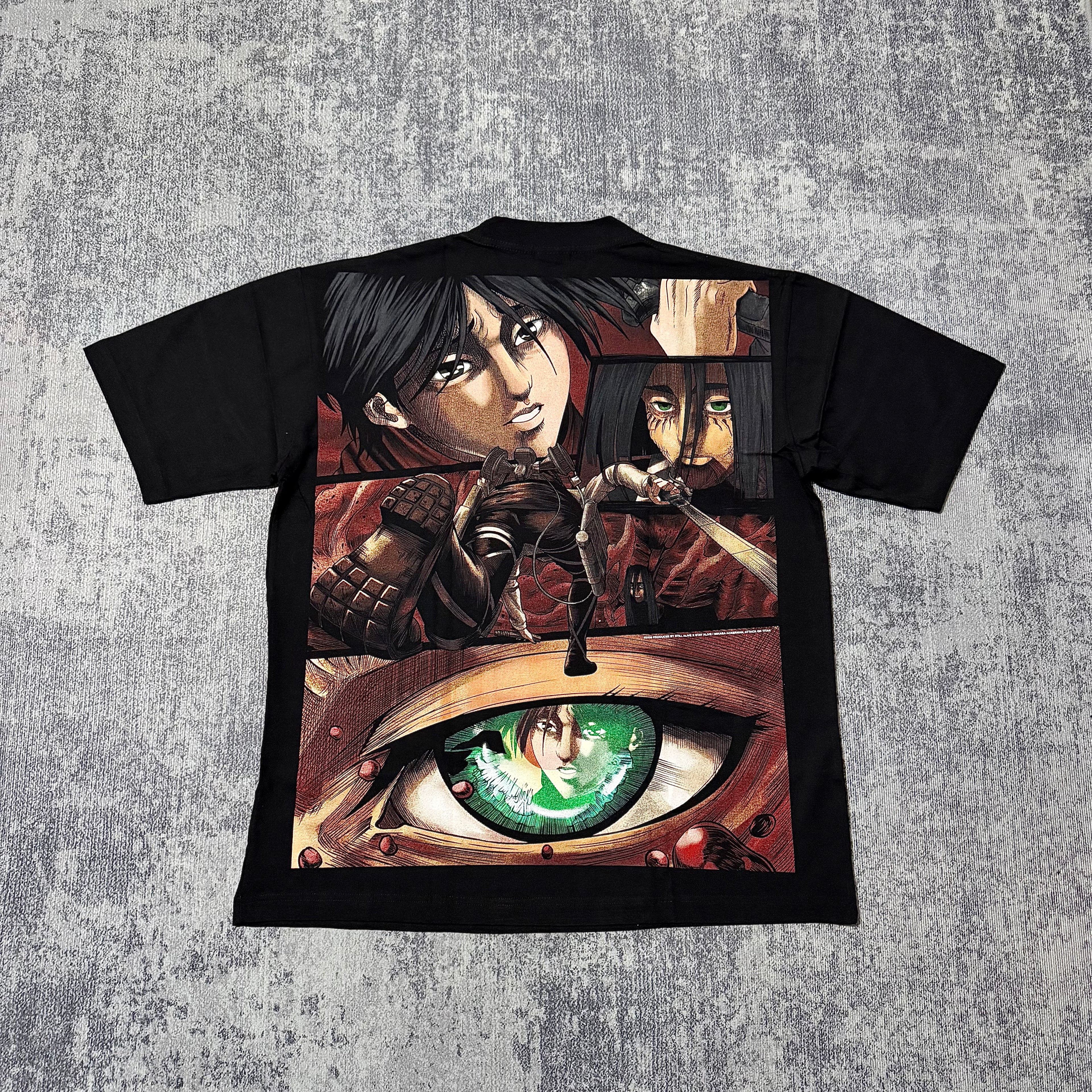 Attack on Titan - Mikasa vs Eren back