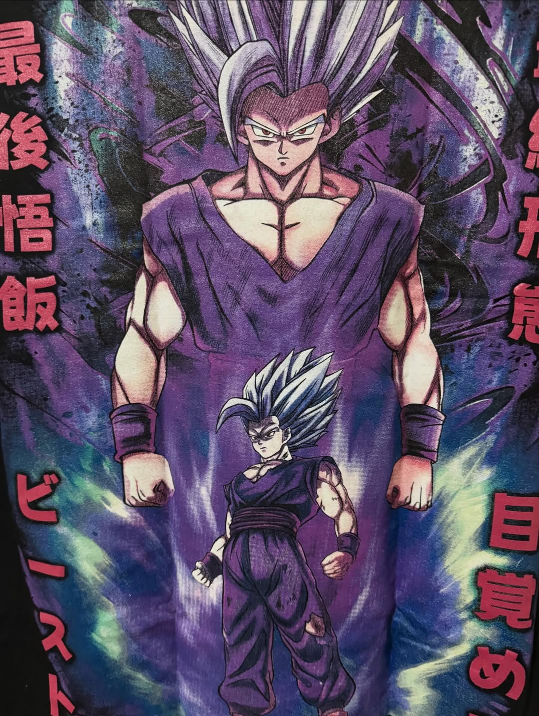 Beast Gohan back zoom