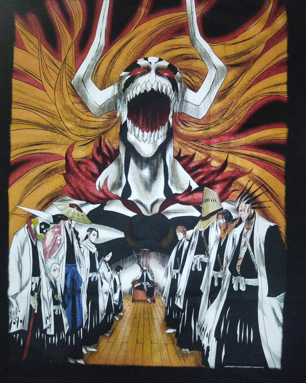 Bleach : Vasto Lorde Ichigo back zoom