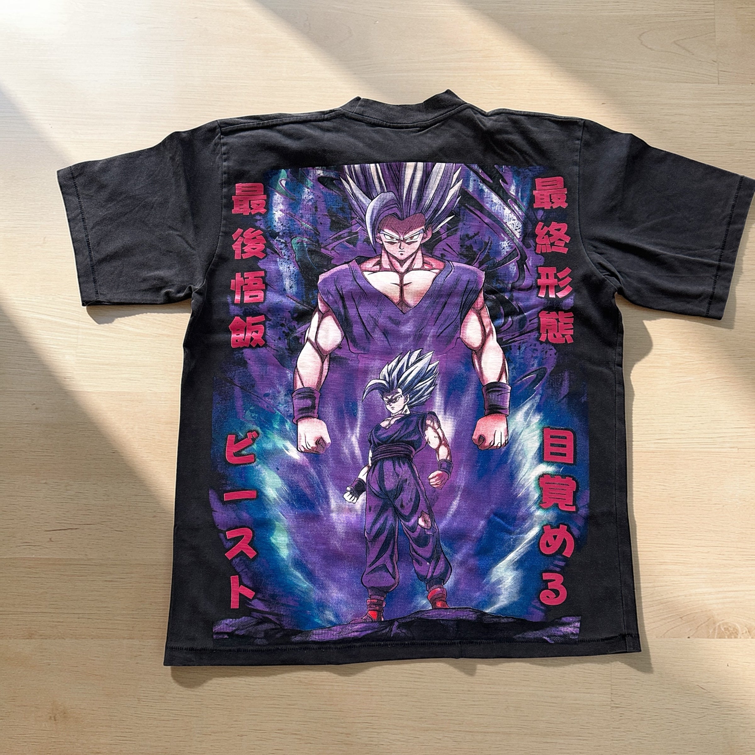 Dragon Ball - Beast Gohan faded back