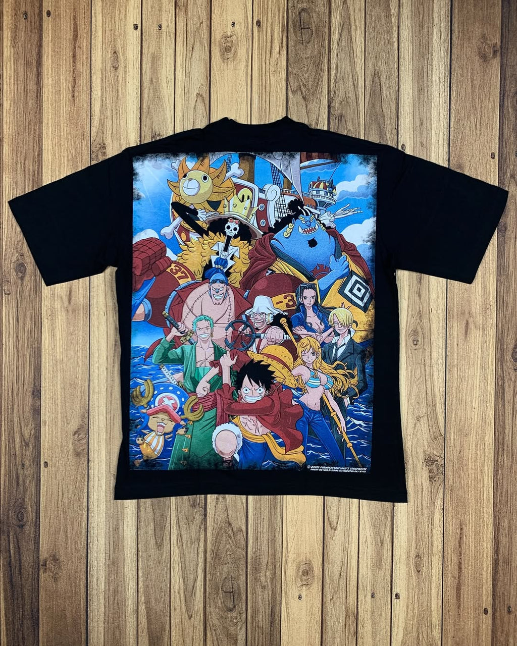 One Piece Ship back