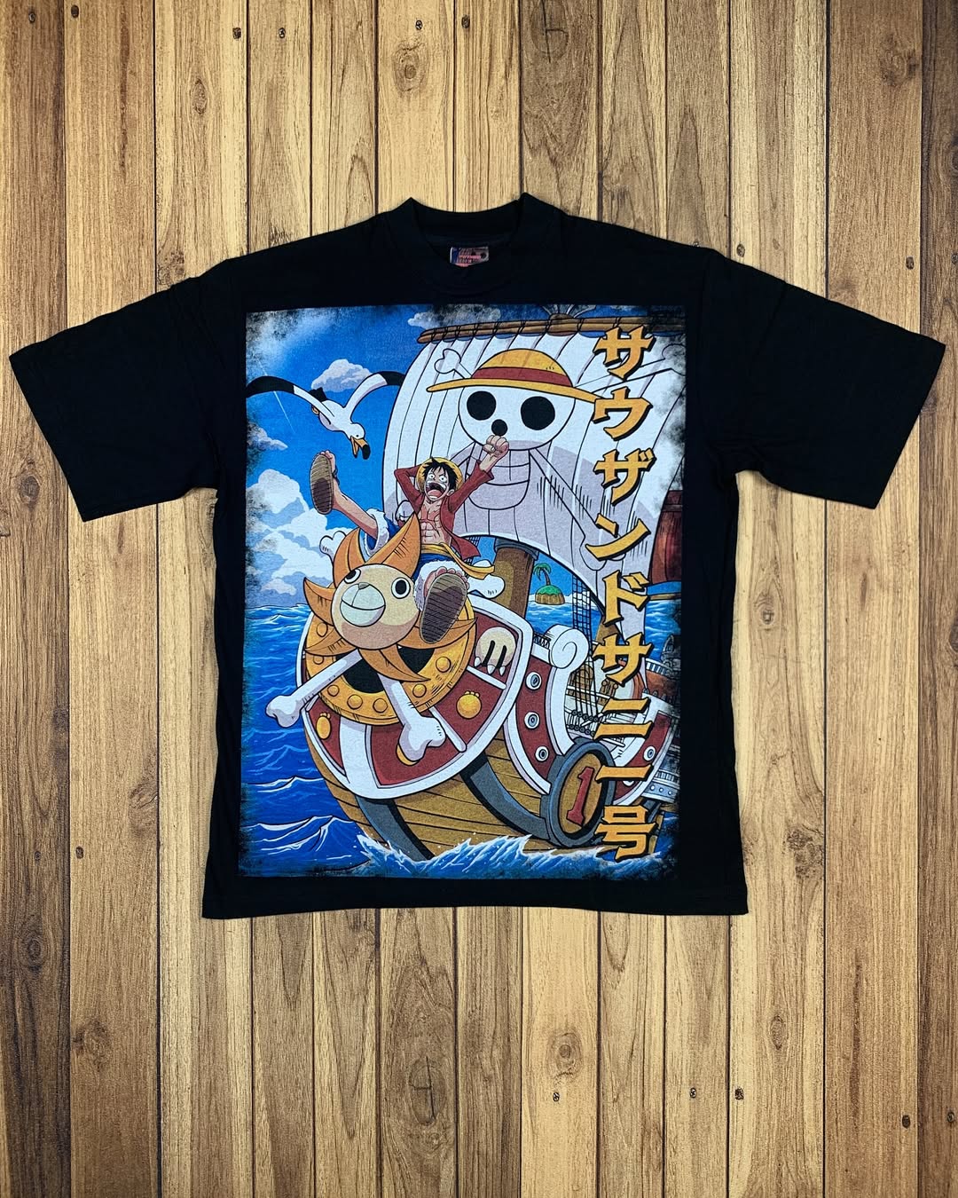 One Piece Ship front