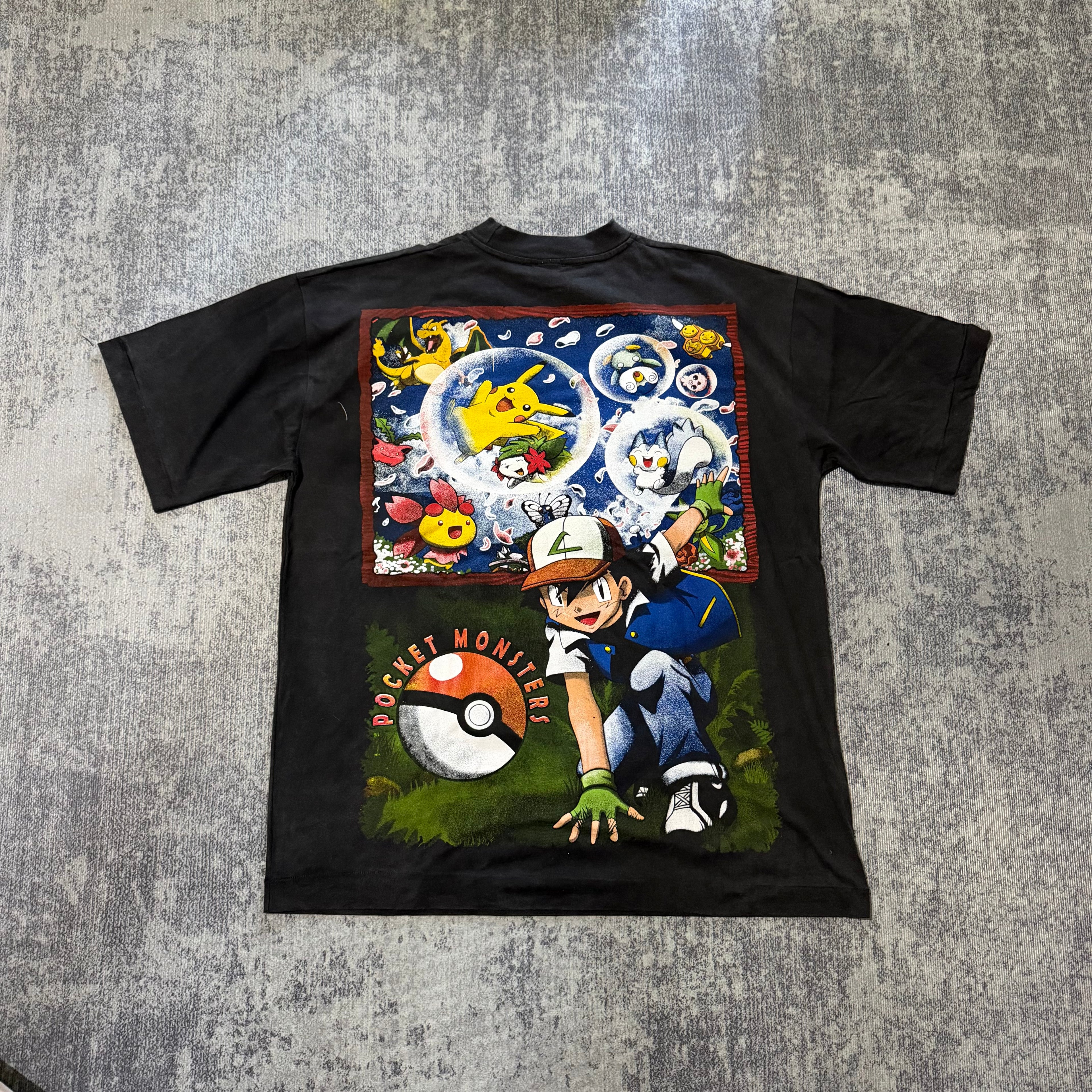 Pokemon - Charizard Pocket Monsters back