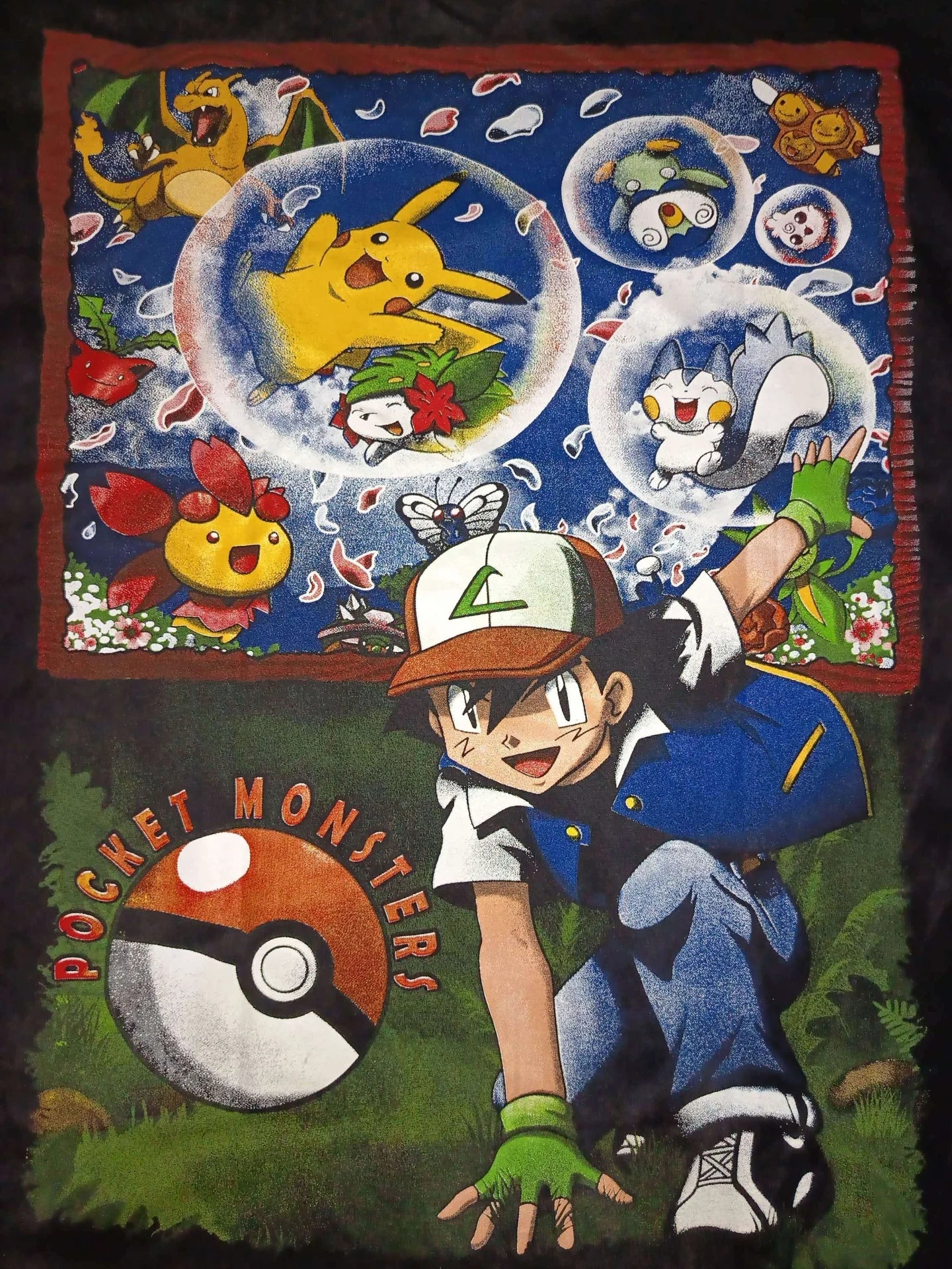 Pokemon - Charizard Pocket Monsters back zoom