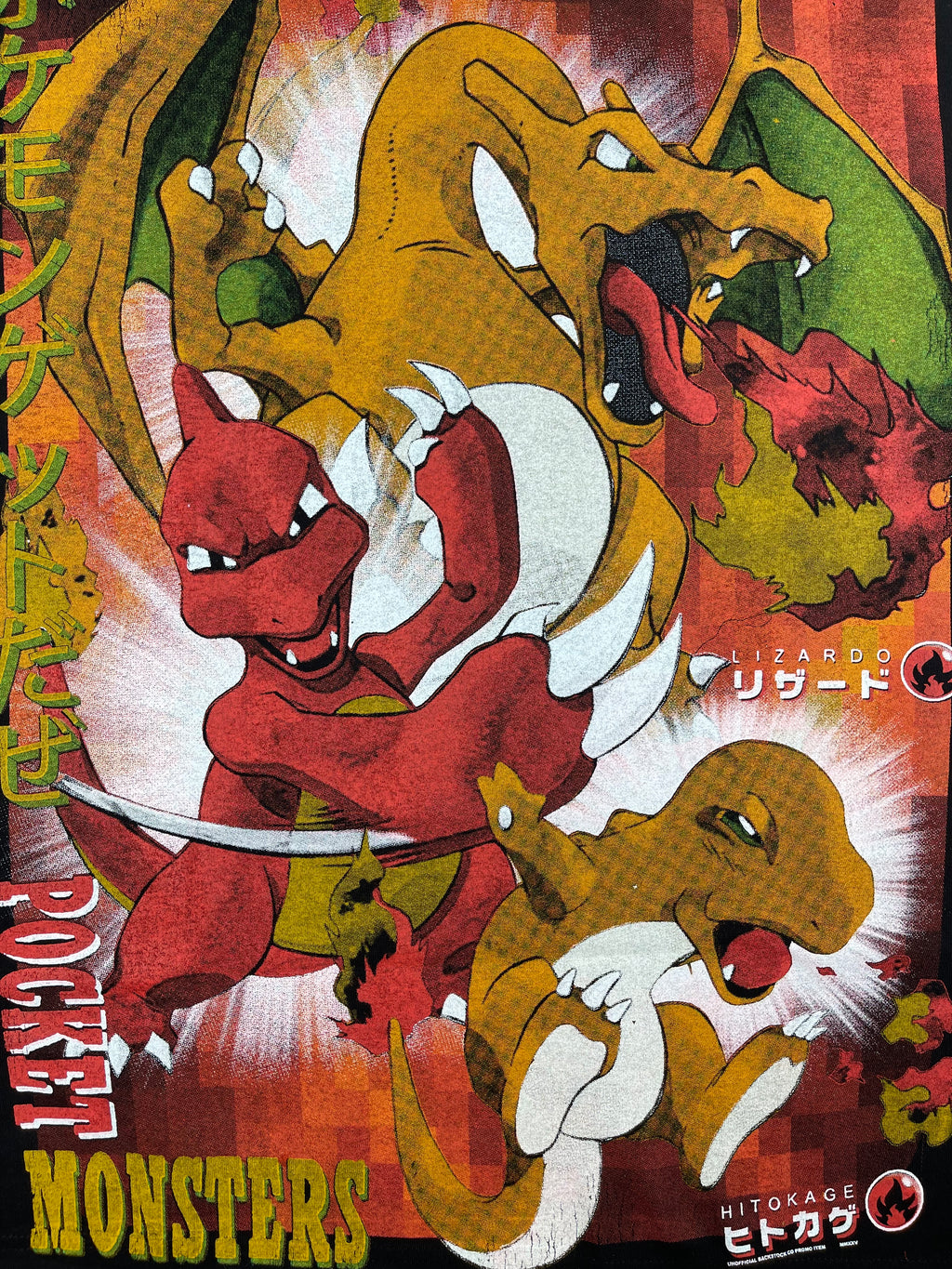 Pokemon - Charizard front zoom