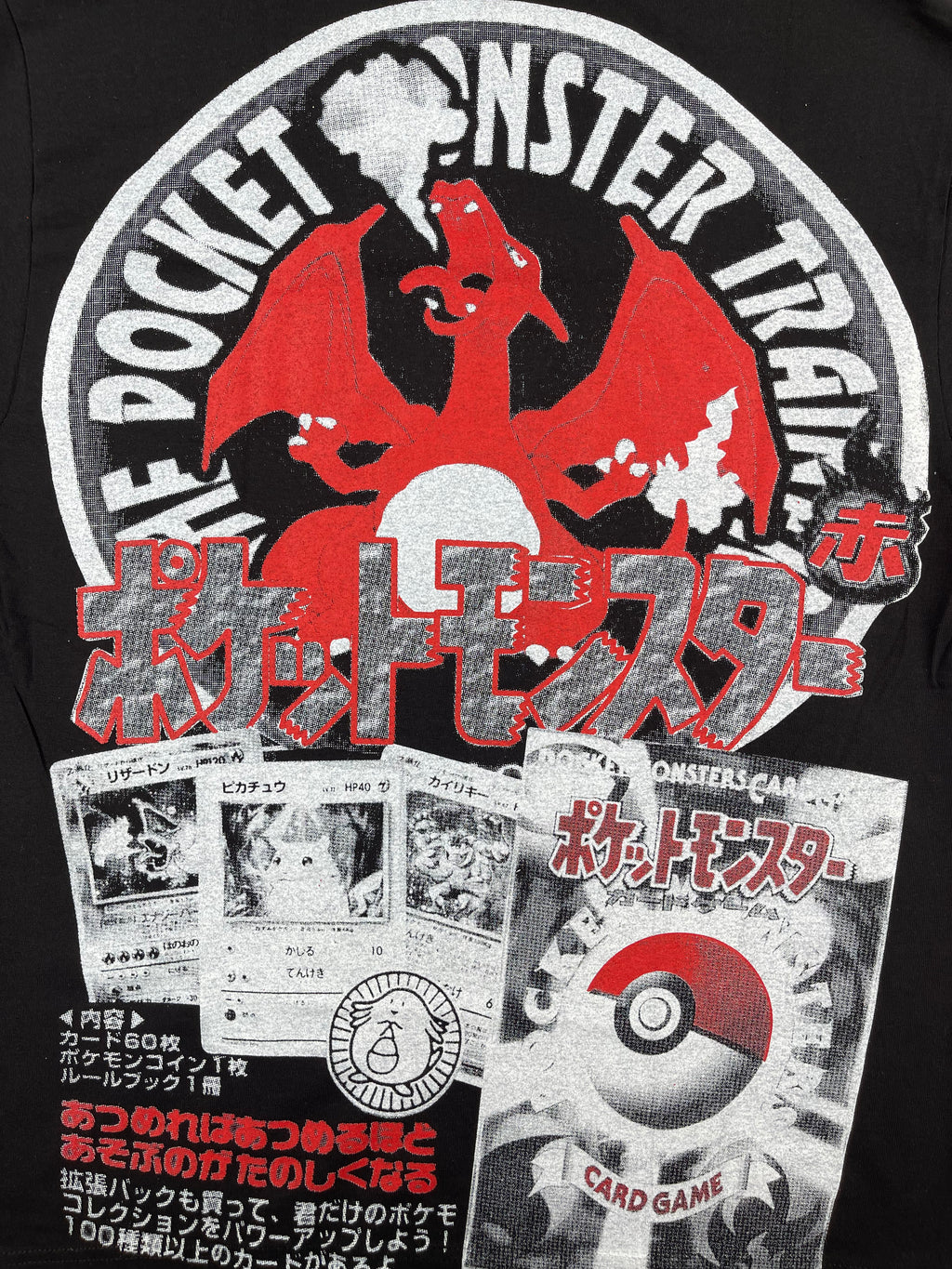Pokemon - Charizard  zoom back