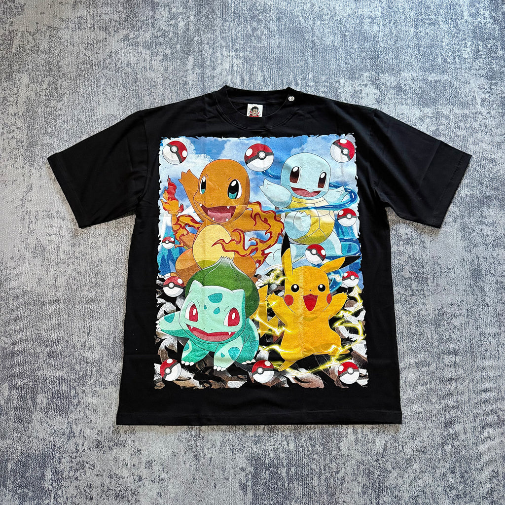 Pokemon - Group and Poke Balls front