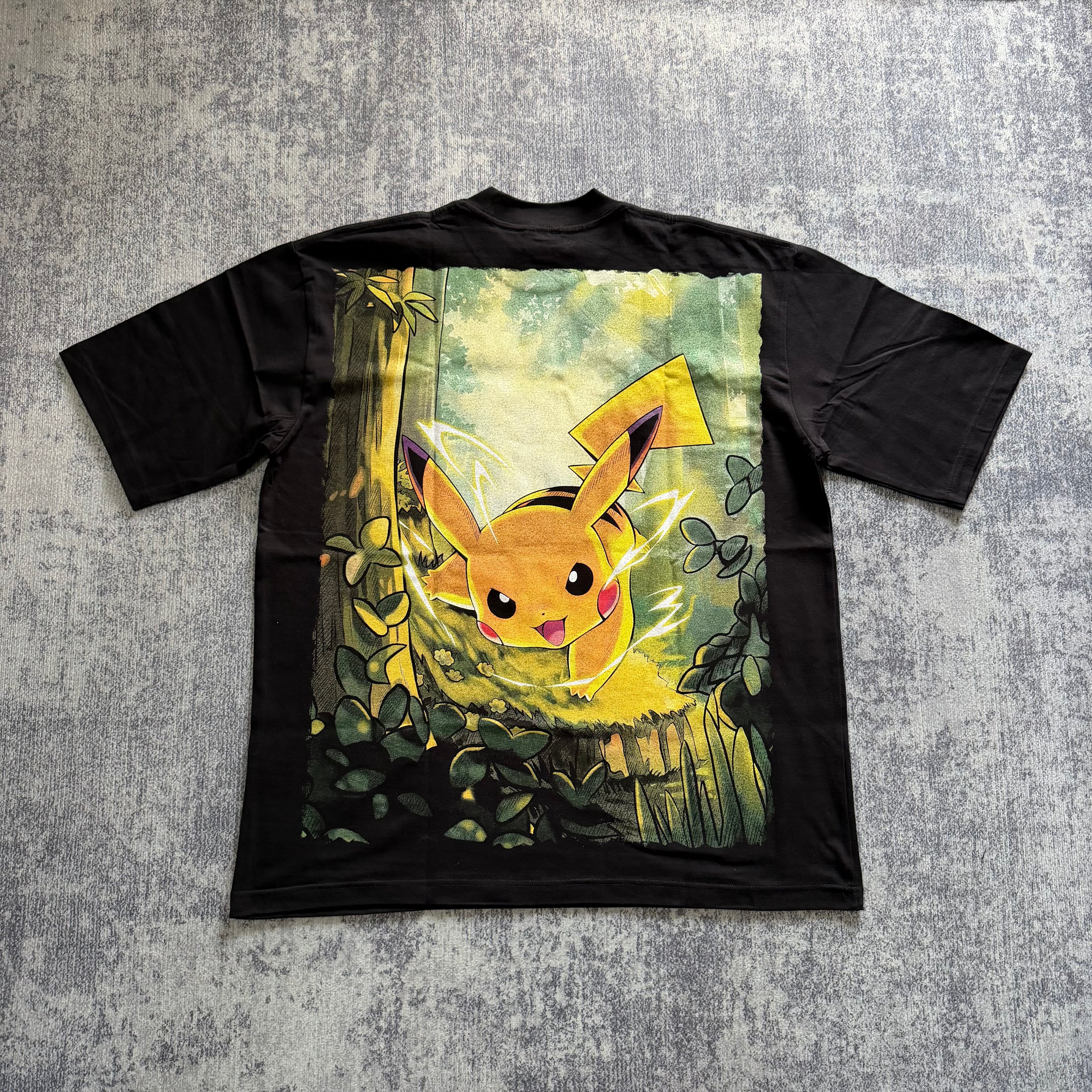Pokemon - Pikachu and Ash back