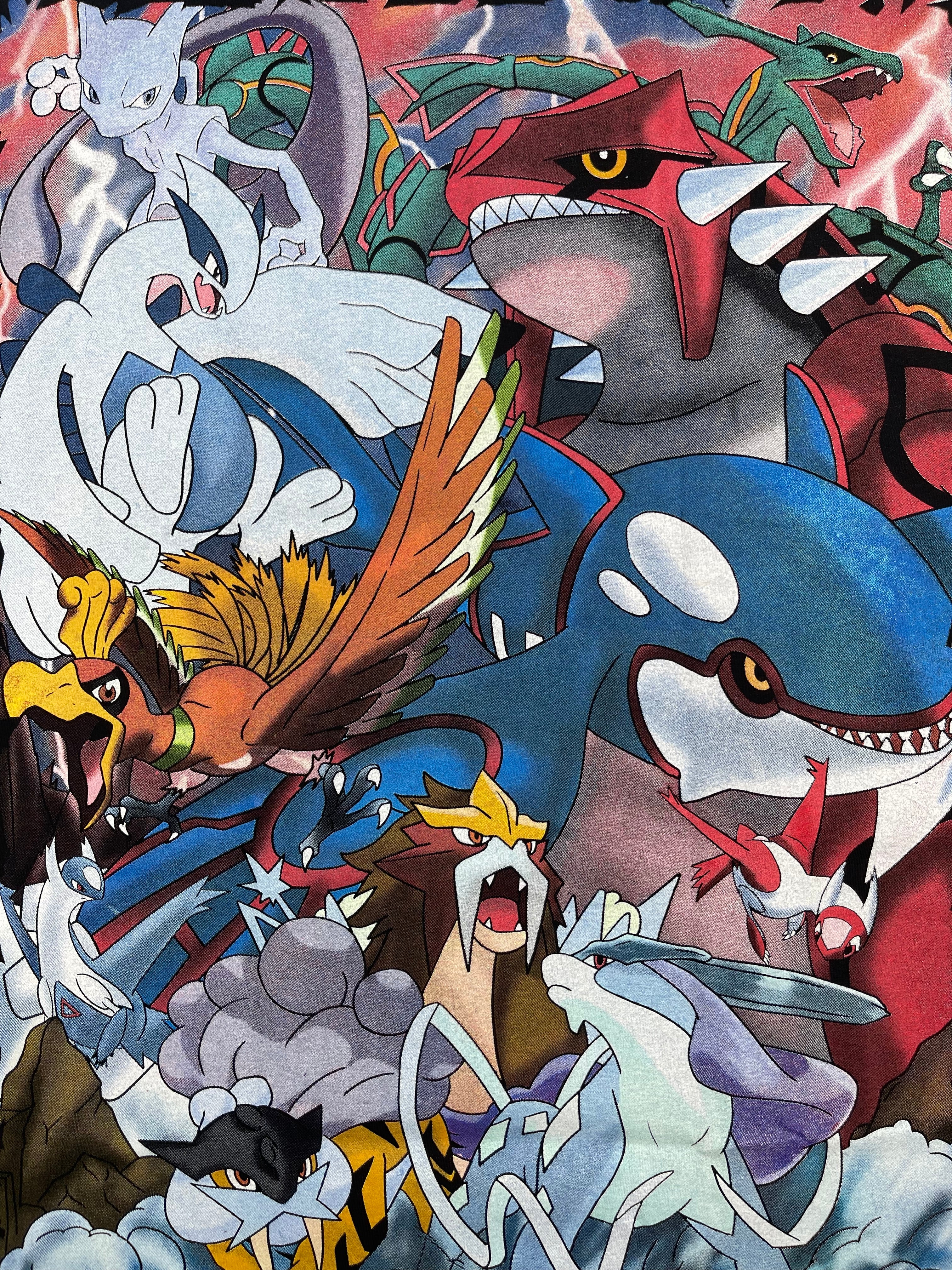 Pokemon - Pocket Monsters : Legendary Pokemon back zoom