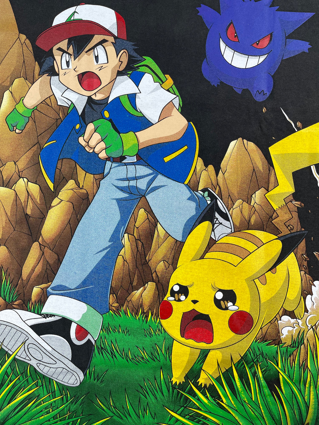 Pokemon - Team Pokemon - Gotta Catch Em All : Group back zoom
