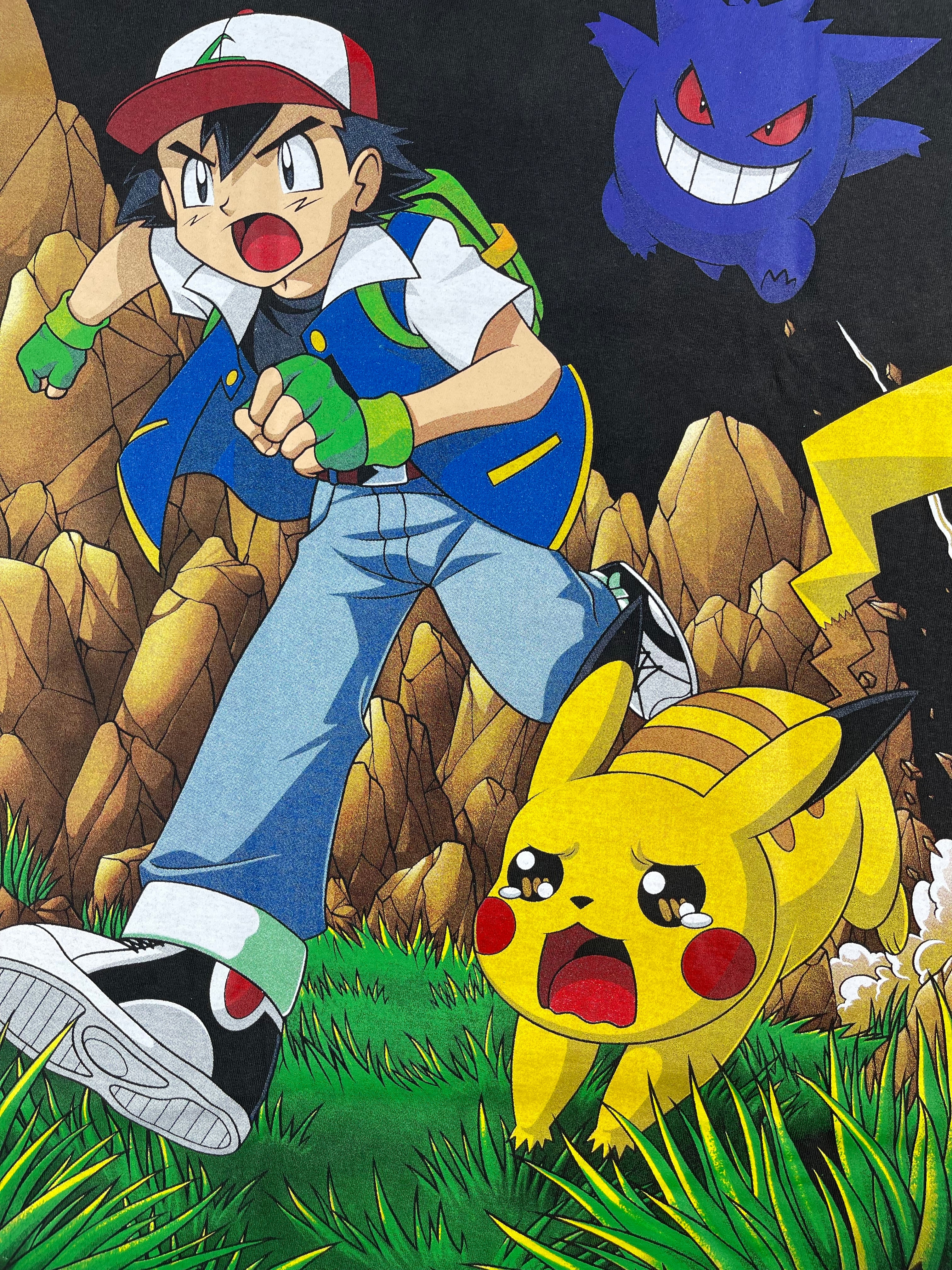 Pokemon - Team Pokemon - Gotta Catch Em All : Group back zoom