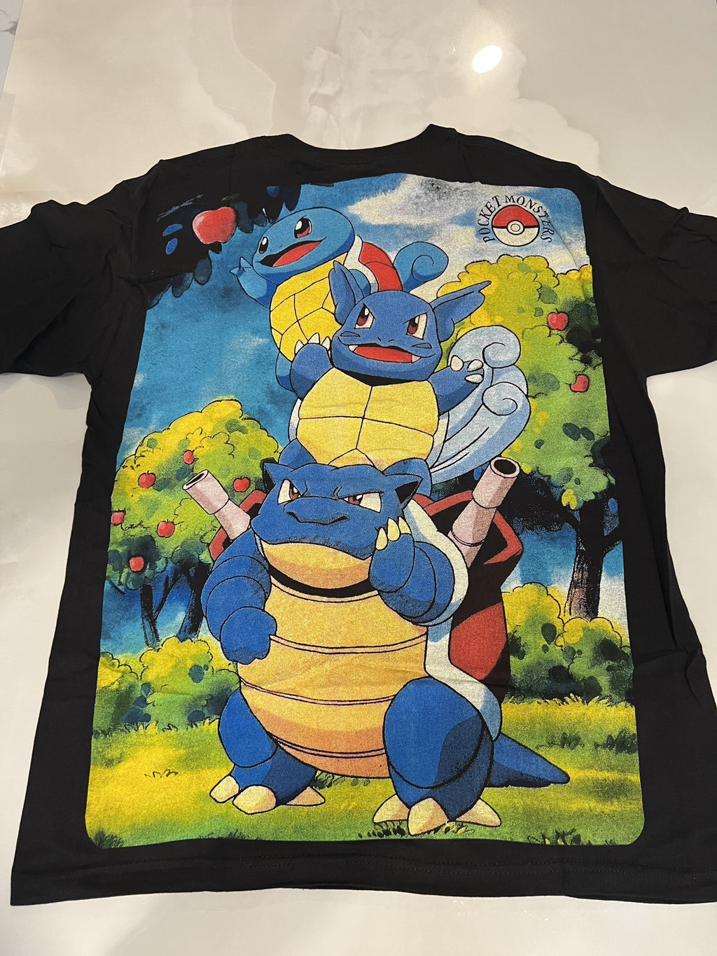 Pokemon Squirtle back