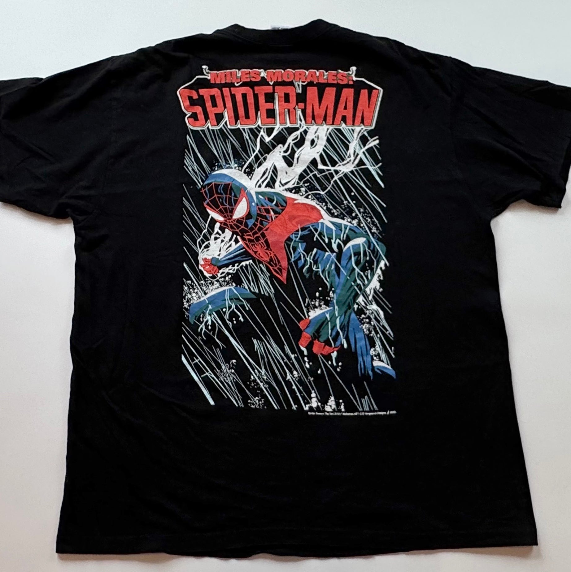 Spider-Man - Miles Morales Back