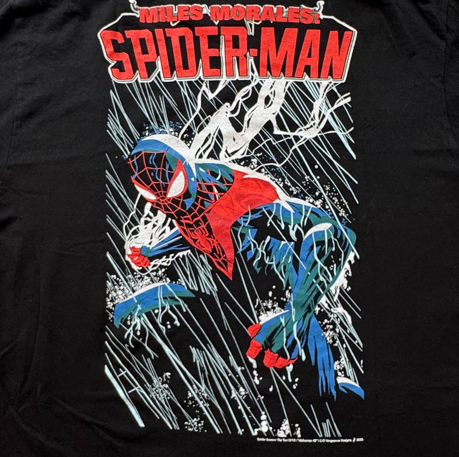 Spider-Man - Miles Morales Back Zoom