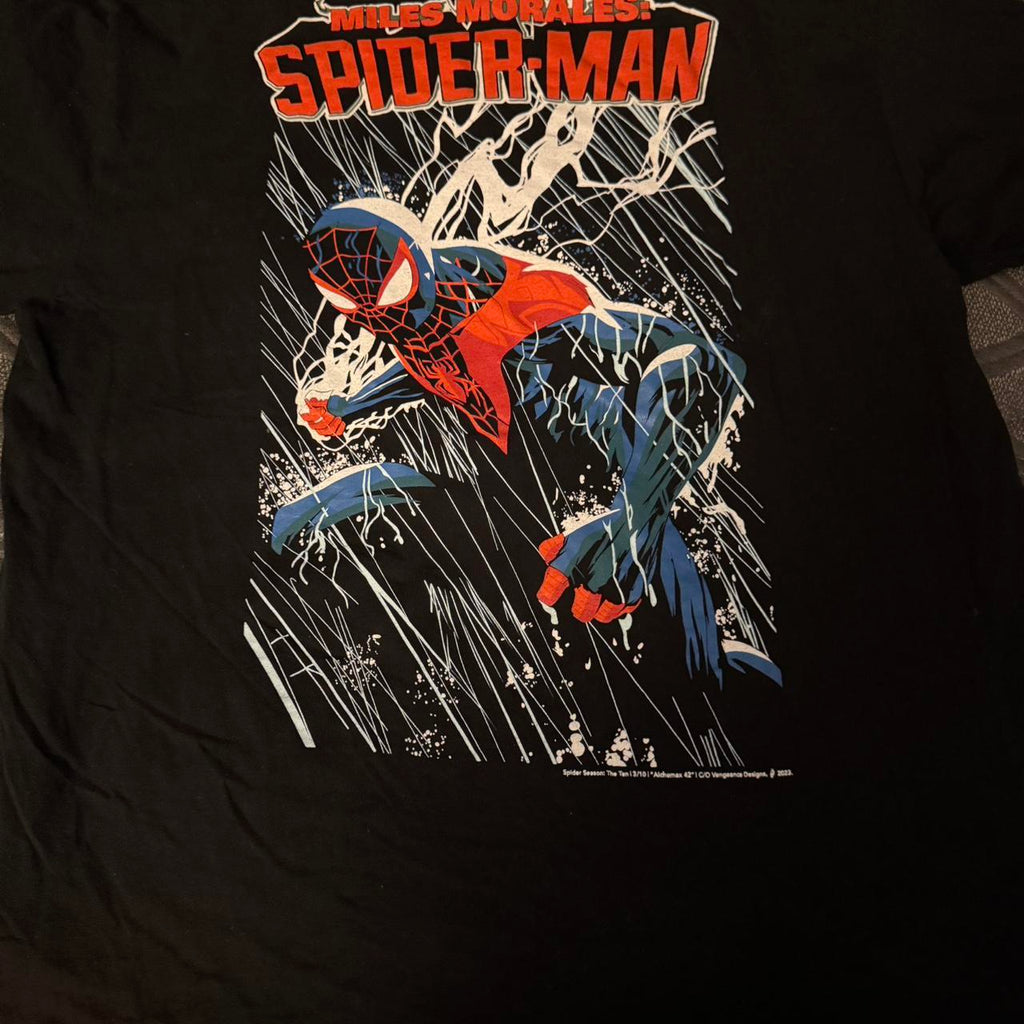 Spider-Man - Miles Morales back