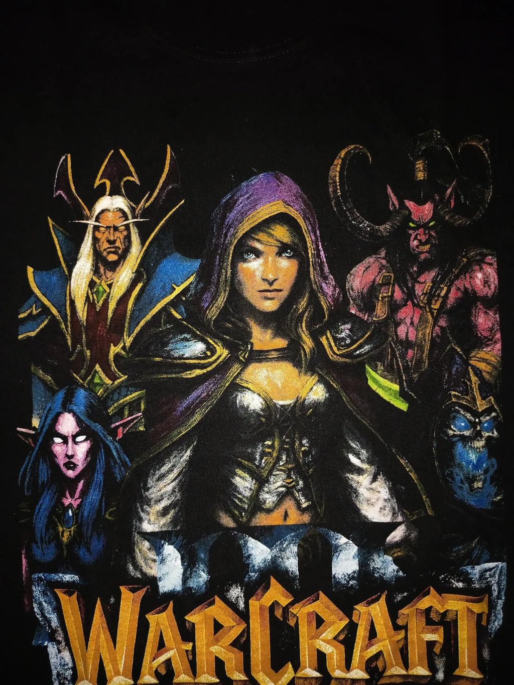 WARCRAFT THE FROZEN THRONE back