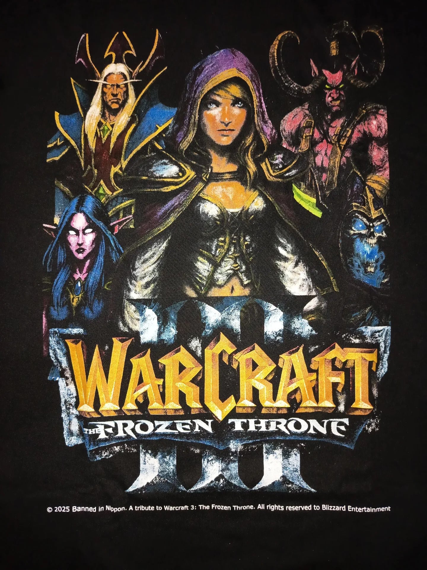 WARCRAFT THE FROZEN THRONE front
